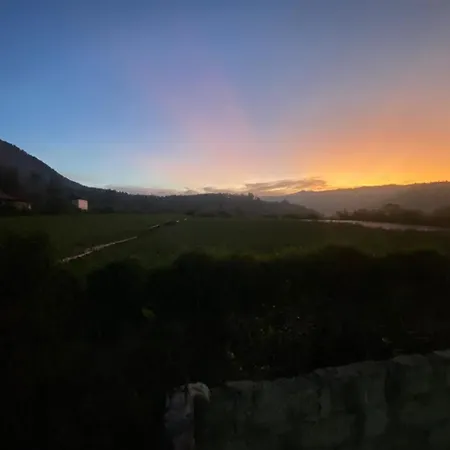 Mount Batur Homestay Kubupenlokan Bagian luar foto
