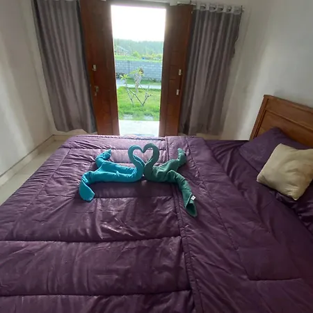 Mount Batur Homestay Kubupenlokan Bagian luar foto