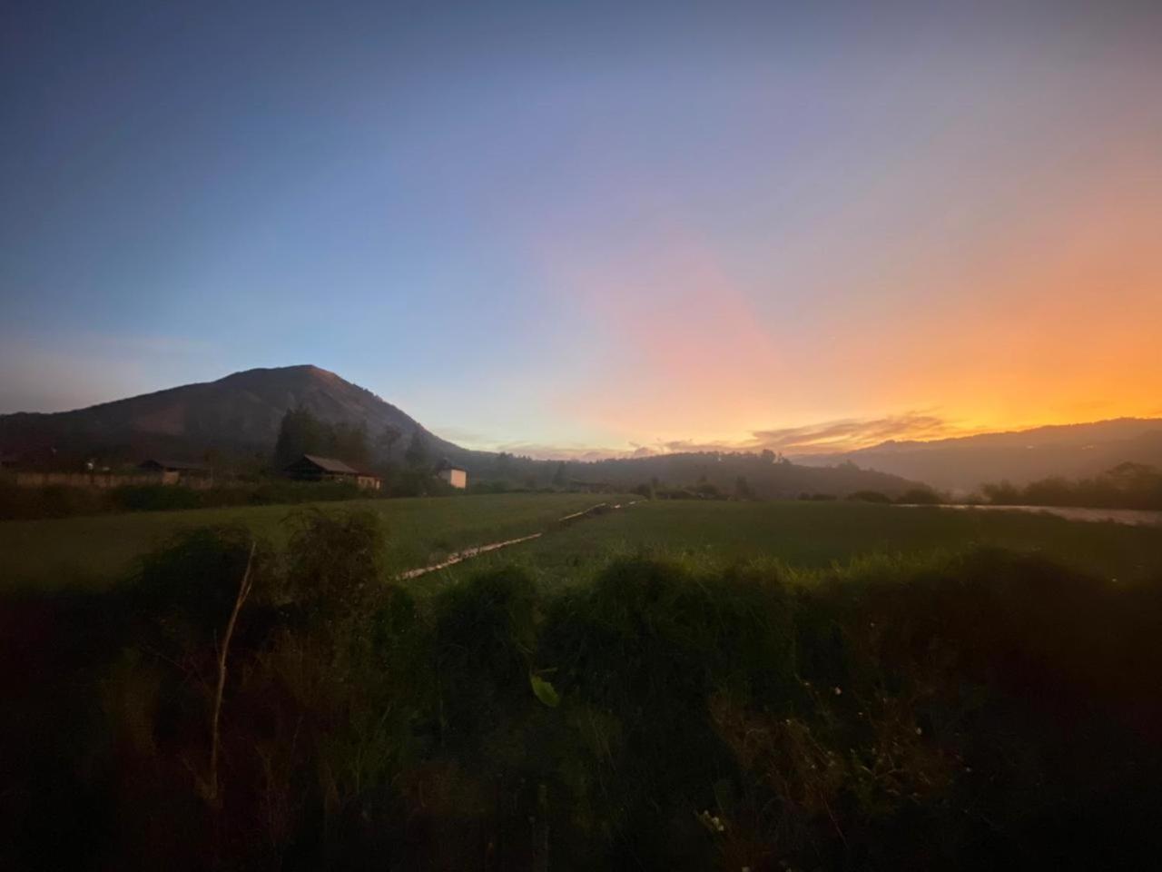 Homestay Mount Batur Kubupenlokan