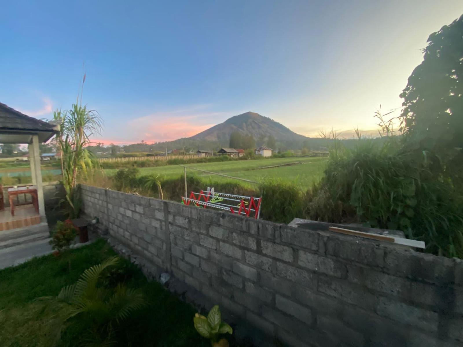 Mount Batur Homestay *